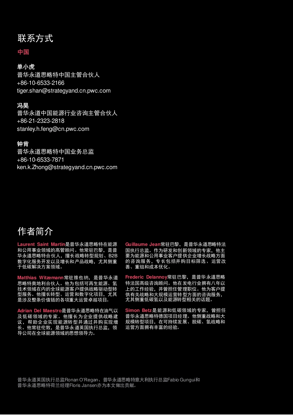 氢能源行业前景分析与洞察：借鉴欧洲经验，打造低碳氢经济-普华永道（28页）_第2页