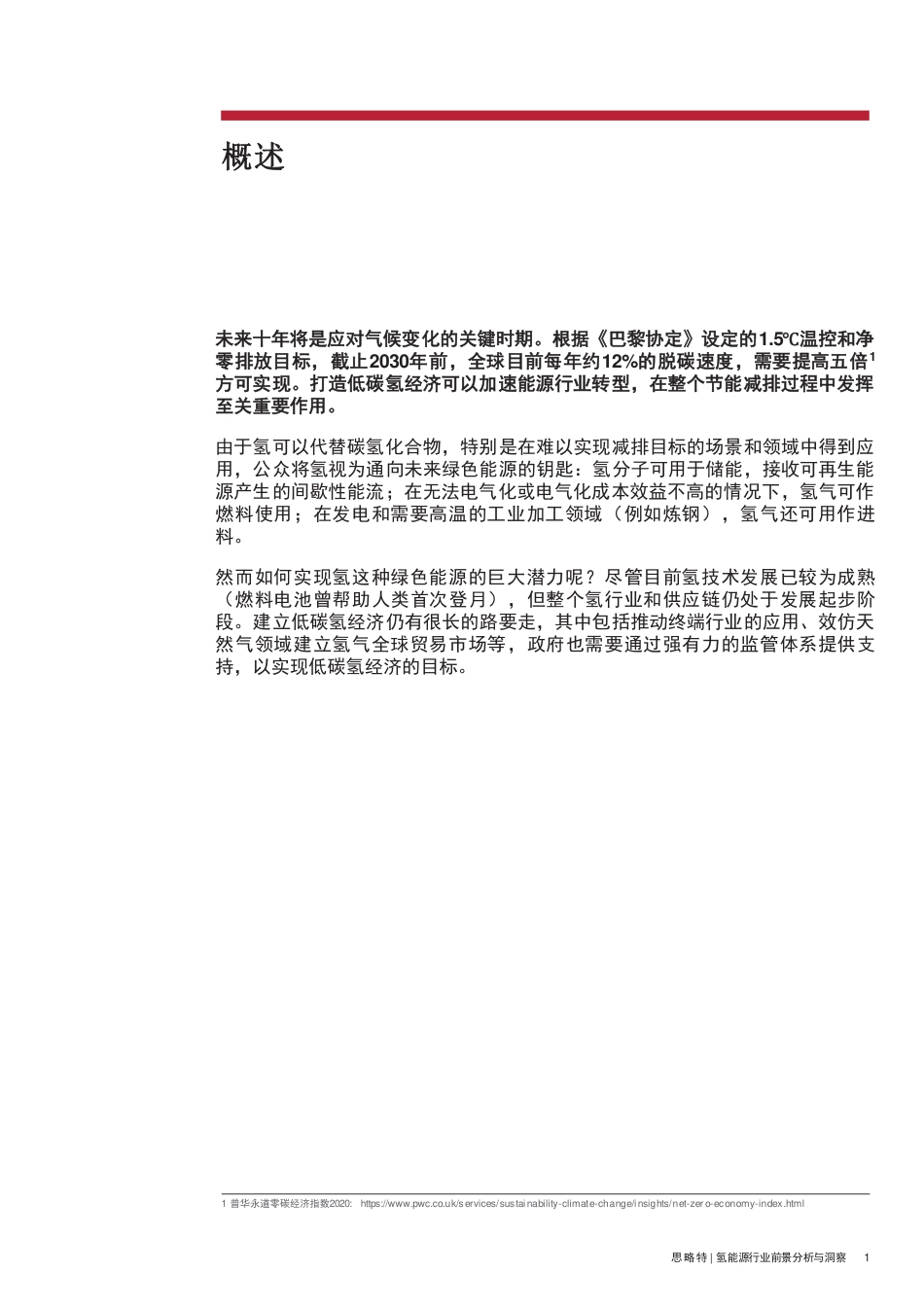 氢能源行业前景分析与洞察：借鉴欧洲经验，打造低碳氢经济-普华永道（28页）_第3页