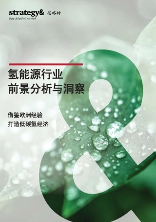氢能源行业前景分析与洞察：借鉴欧洲经验，打造低碳氢经济-普华永道（28页）