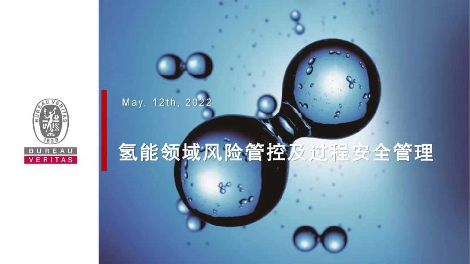氢能领域的风险管控及过程安全管理PPT_第1页