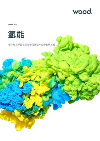 氢能：碳中和目标正在改变中国氢能产业中长期发展