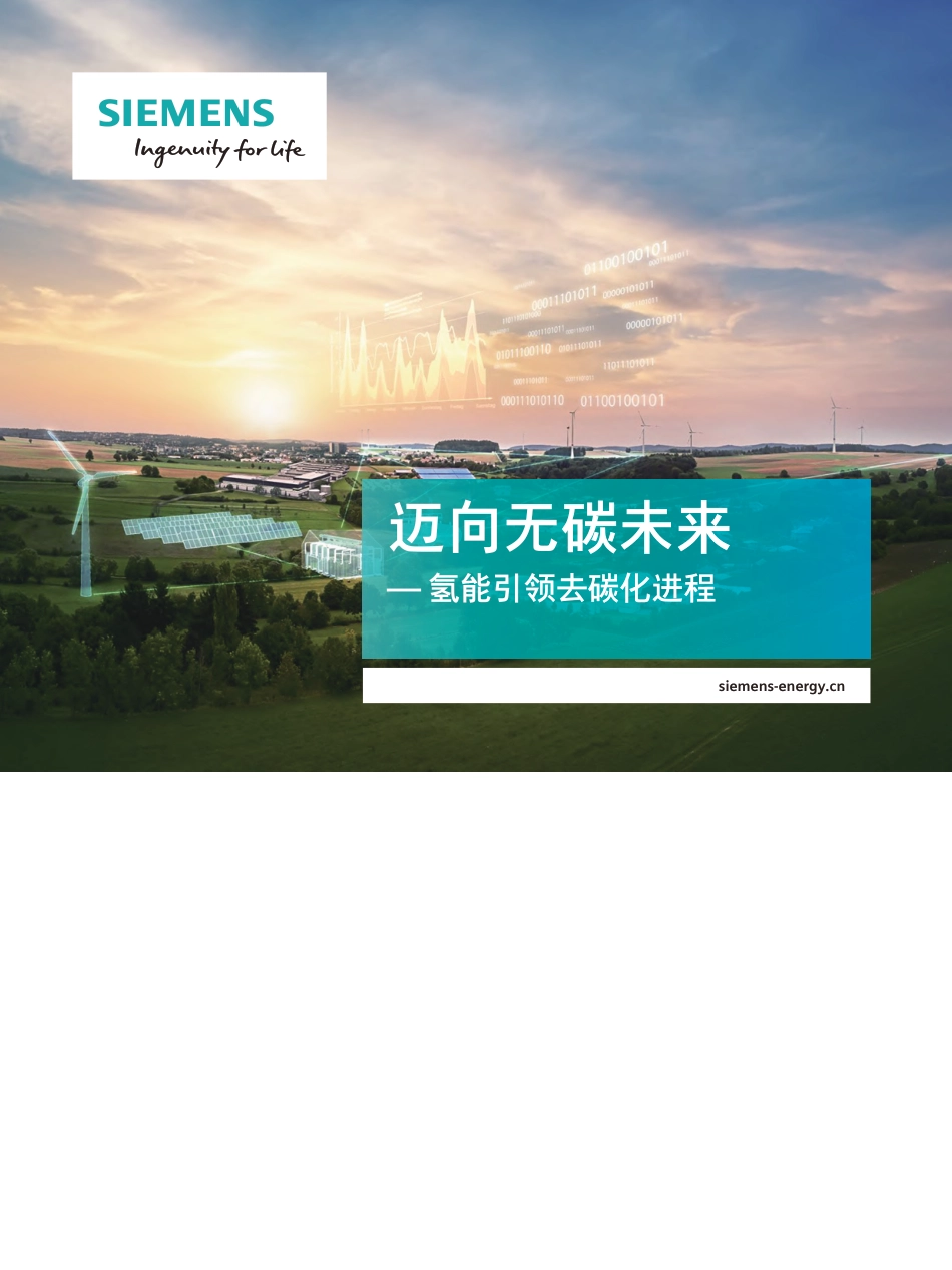 迈向无碳未来 — 氢能引领去碳化进程-西门子-2021-24页_第1页