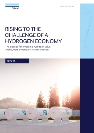 迎接氢经济的挑战—新兴氢能价值链展望，从生产到消费22页