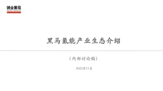黑马氢能产业链研究-20221102-产业生态V1-30页