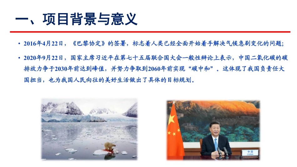 傅瑞生：锅炉烟气CO2捕集及制氮项目_第3页