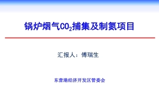 傅瑞生：锅炉烟气CO2捕集及制氮项目