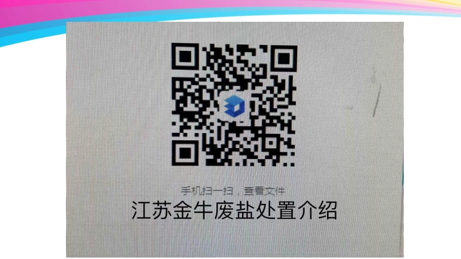 工业废盐集中处置资源化循环经济利用联产氯碱_江苏金牛_第2页