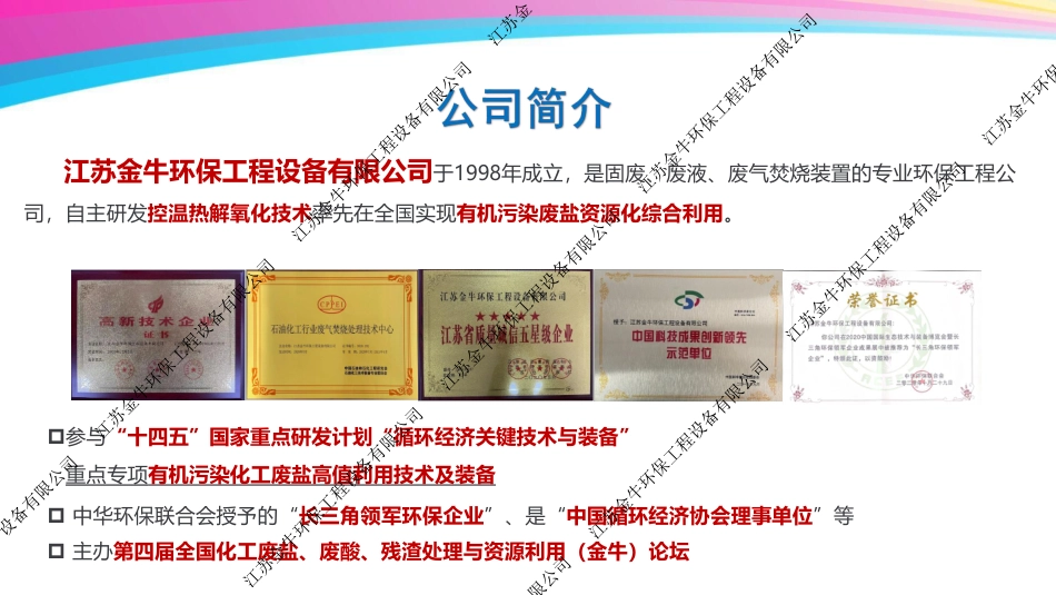 工业废盐集中处置资源化循环经济利用联产氯碱_江苏金牛_第3页