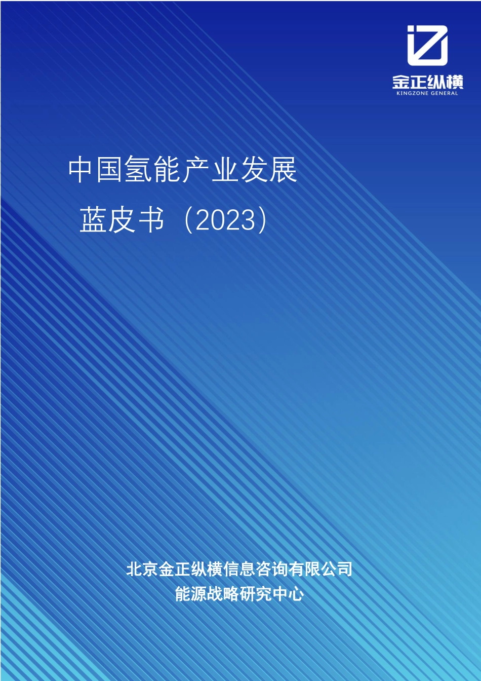 中国氢能产业发展蓝皮书_第1页