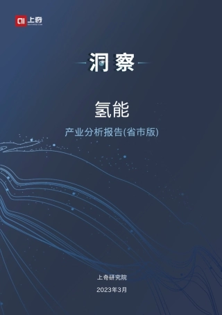 2023中国氢能产业分析报告（省市版）--上奇研究院