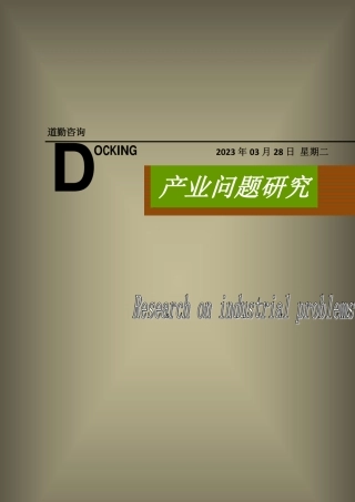 产业问题研究：广东储能产业、汽车价格战、田园综合体-德勤