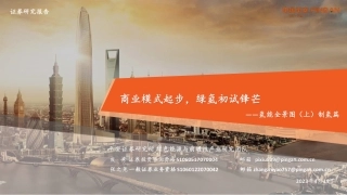 氢能全景图（上）制氢篇：商业模式起步，绿氢初试锋芒--平安证券