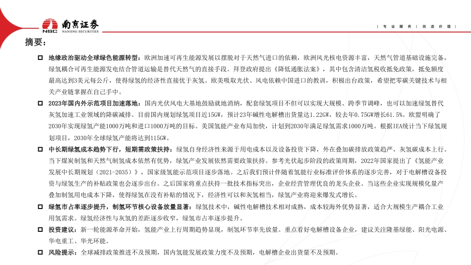 氢能行业：地缘政治加速绿色能源转型--南京证券_第2页