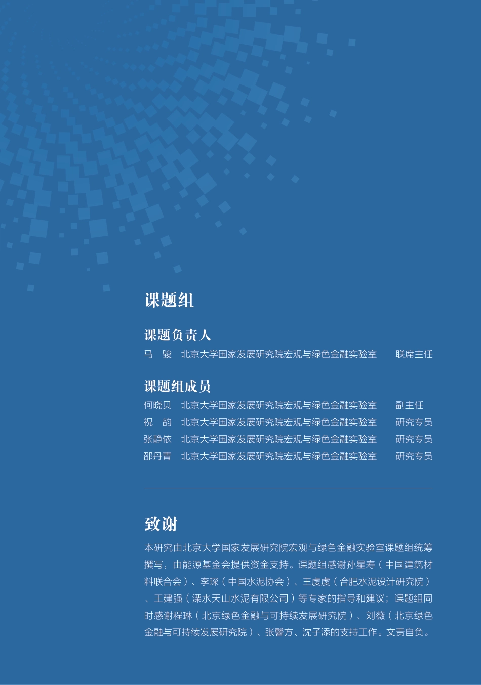 水泥行业气候转型风险分析与金融支持报告--北京大学MGF_第2页