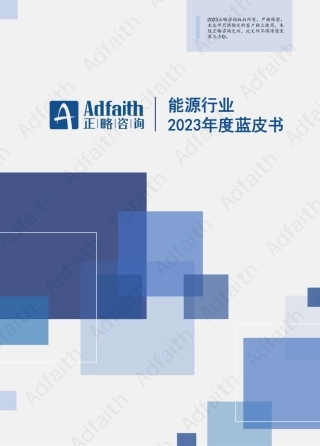 能源行业2023年度蓝皮书--正略咨询