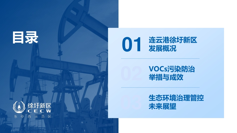 张玉兰：连云港徐圩新区VOCs污染防治解决方案_第2页