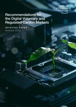 数字自愿和监管碳市场的建议（英）--世界经济论坛