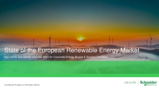 欧洲可再生能源市场现状（英）--Schneider