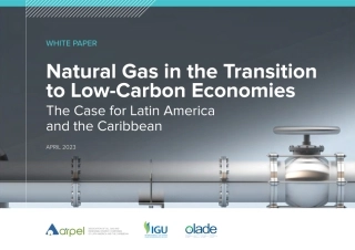 向低碳经济转型中的天然气（英）--国际天然气联盟