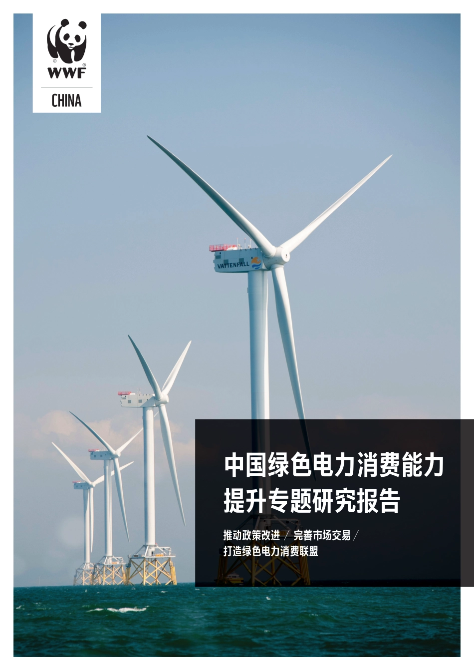 中国绿色电力消费能力提升专题研究报告-44页_第1页