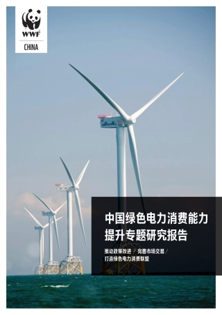 中国绿色电力消费能力提升专题研究报告-44页
