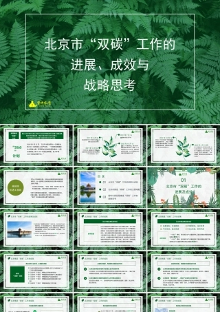 北京市“双碳”工作的进展、成效与战略思考-202304-北京市社会科学院城市问题研究所所长陆小成-38页