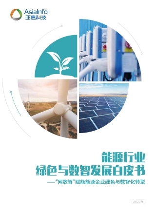 能源行业绿色与数智发展白皮书