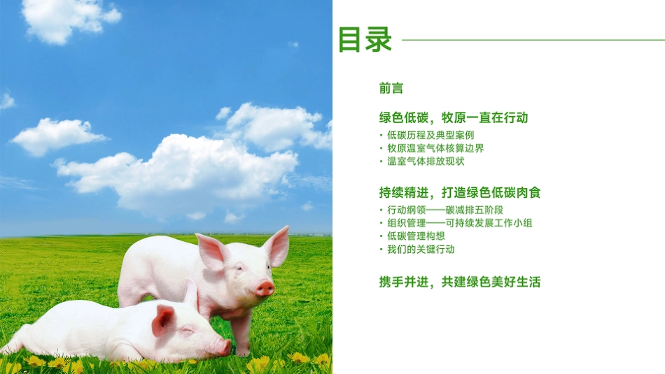 42、牧原股份：2021绿色低碳行动报告_第3页