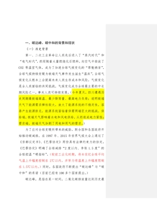 如何开展双碳审计