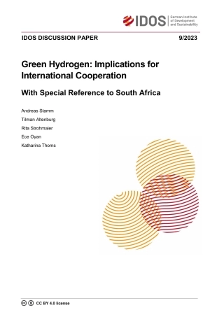 德国发展研究所-绿色氢：对国际合作的影响：特别是南非-56页
