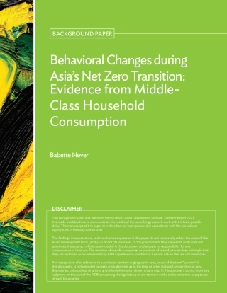 亚洲净零转型期间的行为变化：来自中产阶级家庭消费的证据-64页