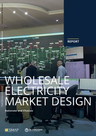 批发电力市场设计：理论基础与选择（英文版）--ESMAP