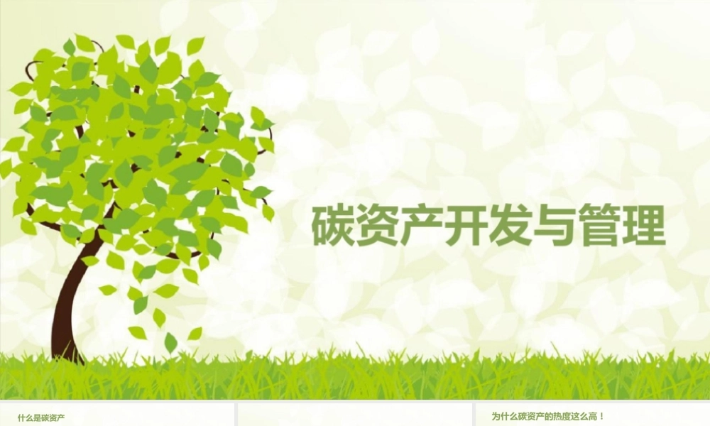 碳资产开发与管理