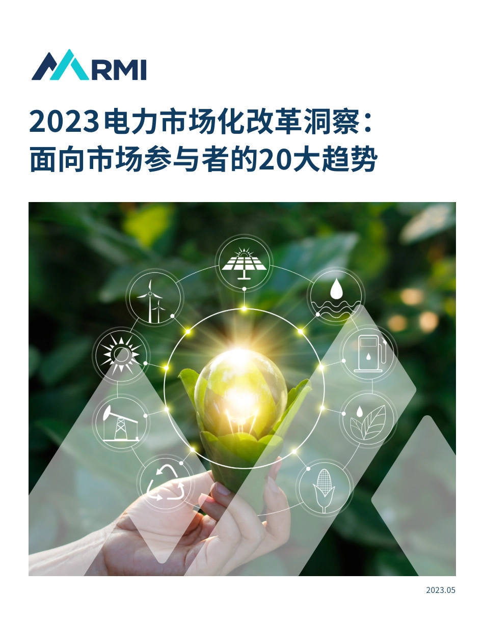 2023电力市场化改革洞察： 面向市场参与者的20大趋势--RMI_第1页