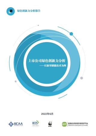 上市公司绿色创新力分析——以新型储能技术为例--创蓝智库 (1)