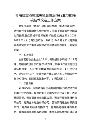 2.青海省重点领域黑色金属冶炼行业节能降碳技术改造