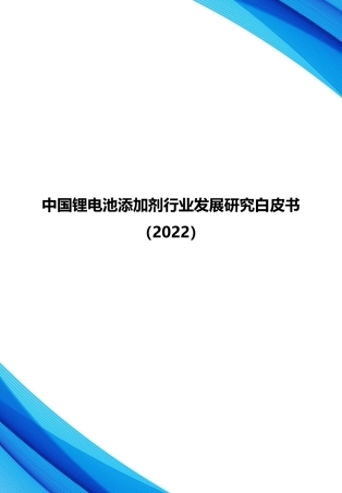中国锂电池添加剂行业发展研究白皮书（2022）