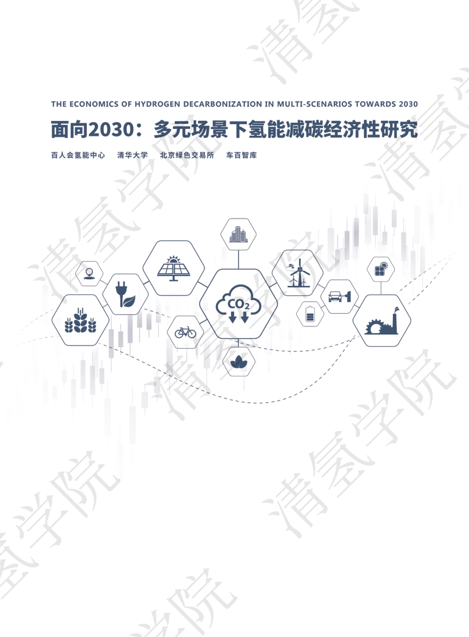 面向2030：多元场景下氢能减碳经济性研究--清华大学_第1页