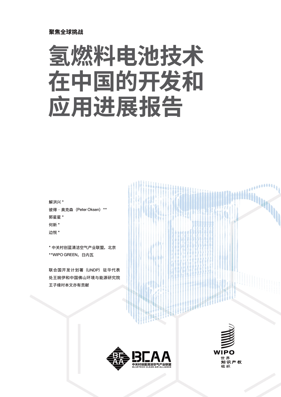 氢燃料电池技术在中国的开发和应用进展报告--BCAA_第1页
