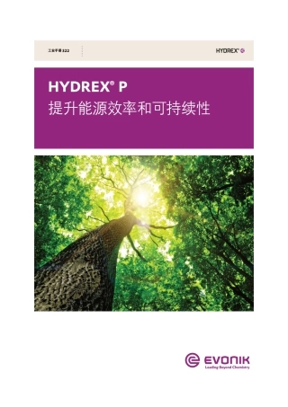 提升能源效率和可持续性-HYDREX
