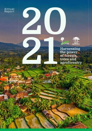 利用森林、树木和农业林业的力量-CIFOR-ICRAF