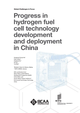 中国氢燃料电池技术开发和应用进展-28页