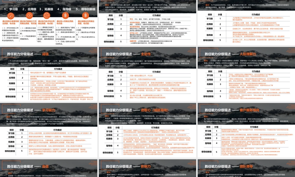 胜任力词典通用胜任力分级标准及描述