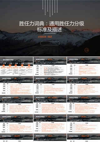 胜任力词典通用胜任力分级标准及描述