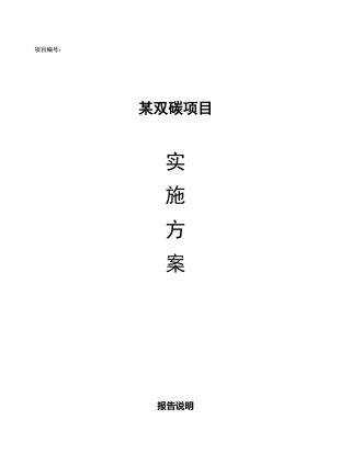 某双碳项目实施方案