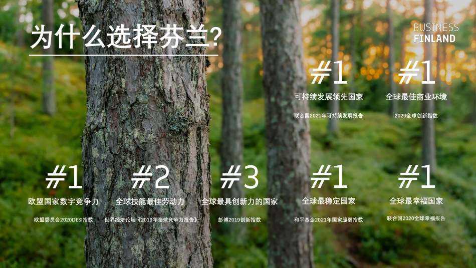 芬兰创新和可持续包装解决方案-FINLANDWORKS_第3页