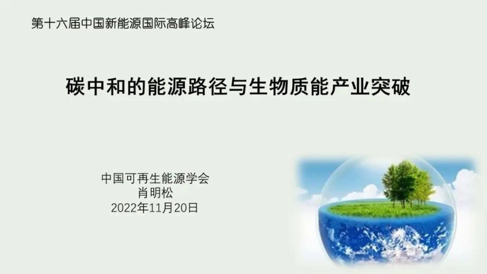 肖明松：碳中和的能源路径与生物质能产业突破_第1页