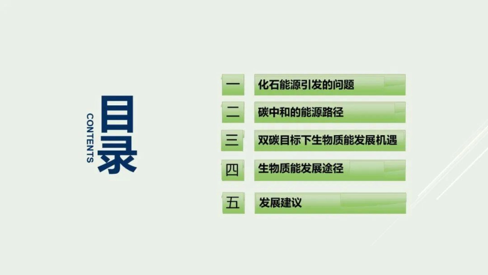 肖明松：碳中和的能源路径与生物质能产业突破_第2页