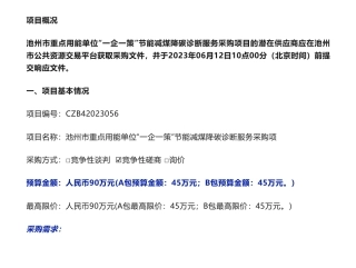 【招标】节能降碳90万-池州市重点用能单位“一企一策”节能减煤降碳诊断服务采购项目竞争性磋商公告-池州市发展和改革委员会