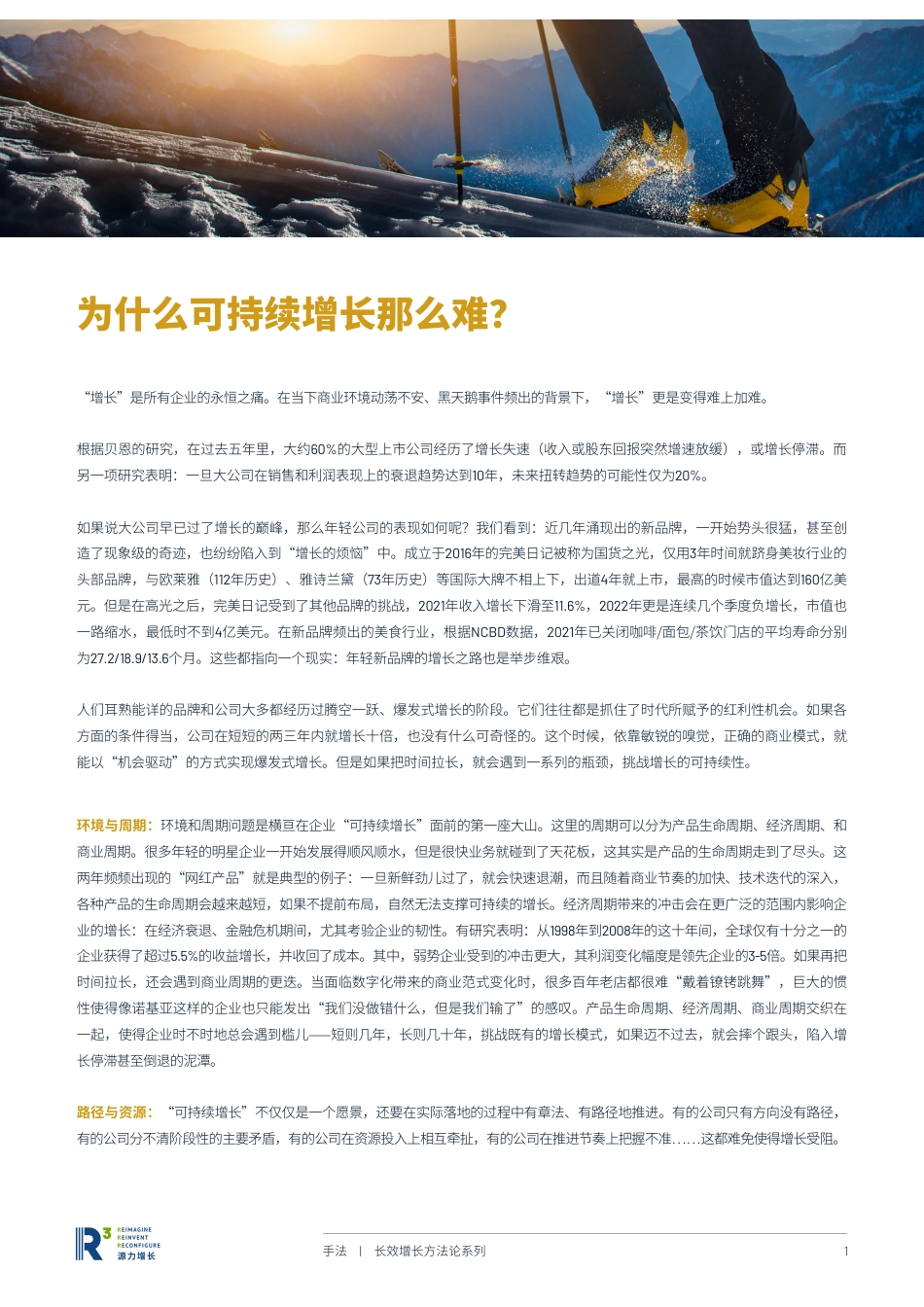 战略驱动力：打造可持续增长的企业-源力研究_第2页